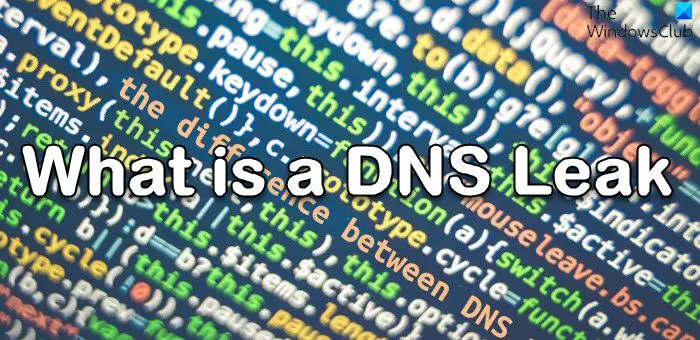 What is a DNS Leak