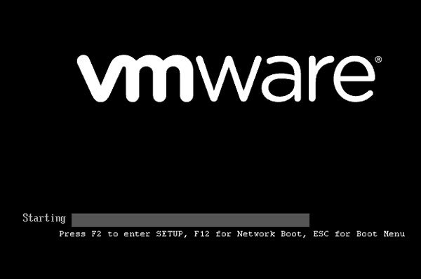 Open and use BIOS in VMware Workstation