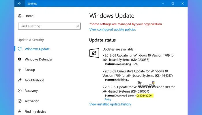 Windows 11/10のWindows Updateエラー0x8024a206を修正する