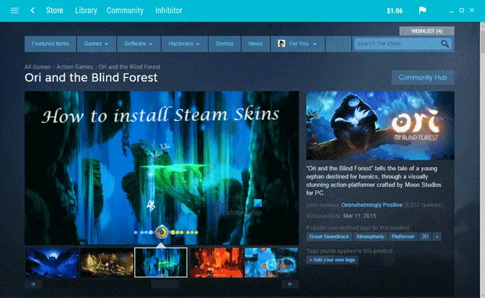 Windows 11/10にSteamスキンをインストールする方法