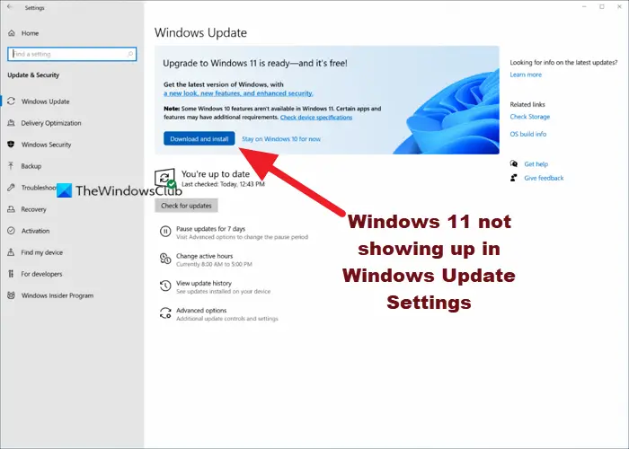 Windows 11がWindows Updateの設定に表示されない