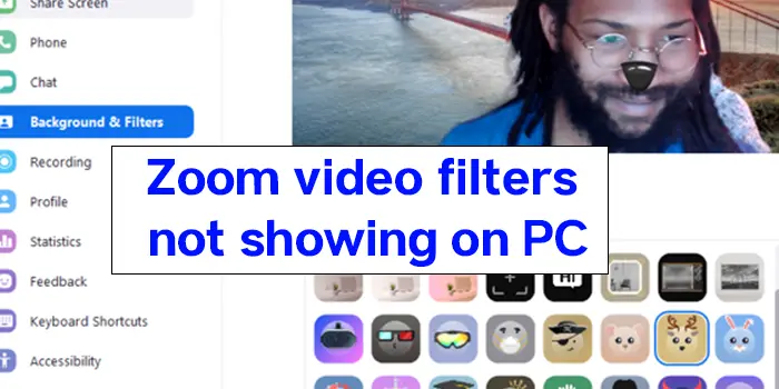Zoom ビデオフィルターが PC に表示されない問題を修正