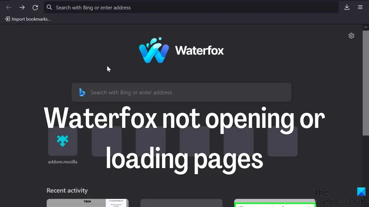 Waterfox が Windows PC でページを開けない、またはページを読み込まない [修正済み]