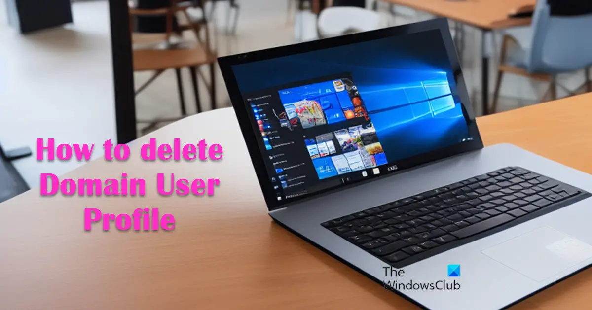 Windows 11/10でドメインプロファイルを削除する方法