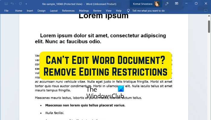 Can't Edit Word Document