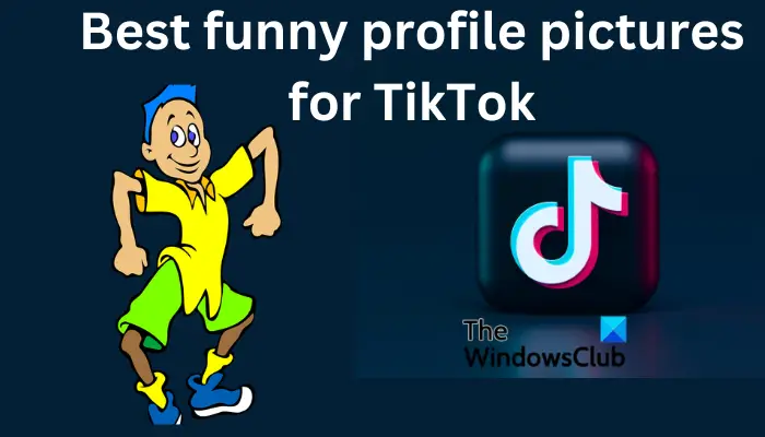 TikTok用の面白いプロフィール写真