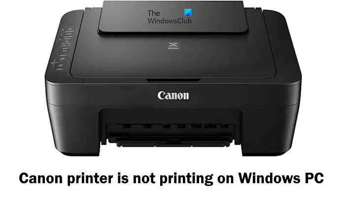 Canon printer is not printing