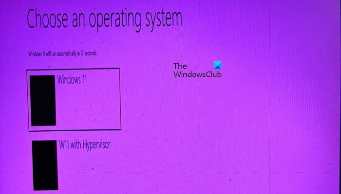 run Hyper-V, VirtualBox, and VMware