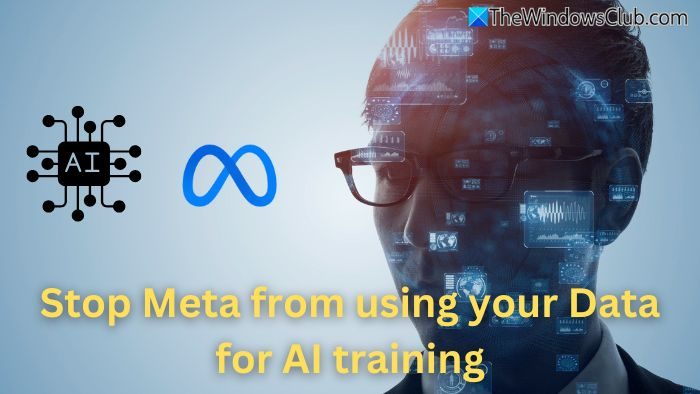 Stop Meta from using your Data for AI training