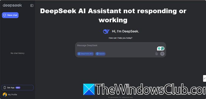 Deepseek AIアシスタントは応答したり機能したりしていません